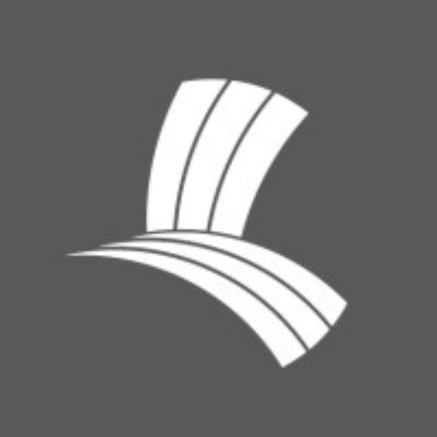 Palm Lake Group logo